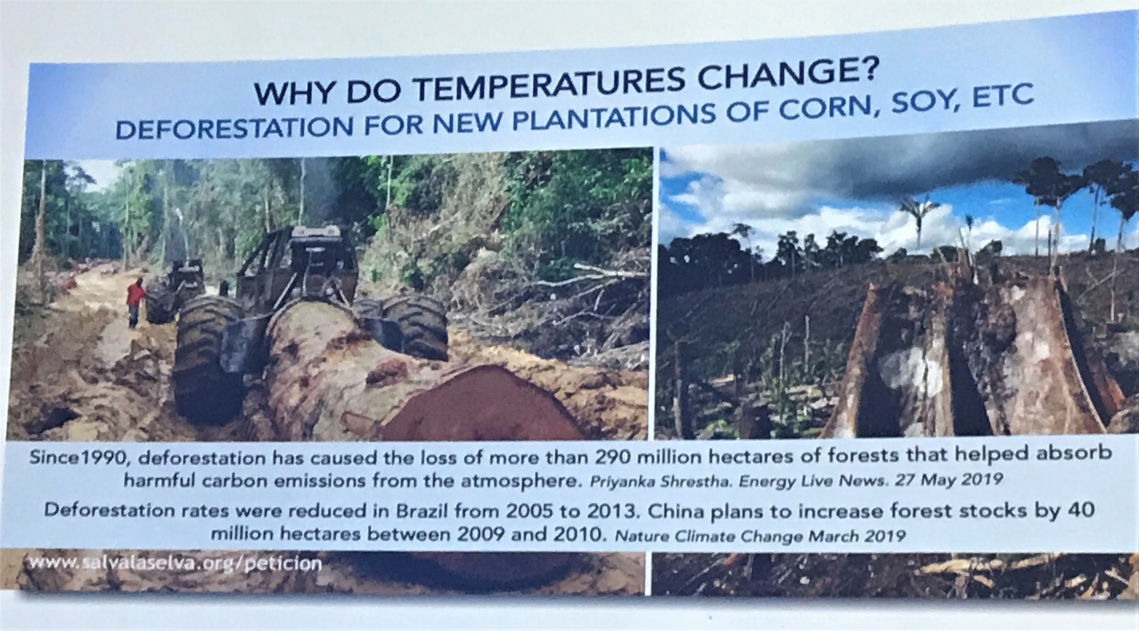 Photo Jun 28, 12 13 43 PM