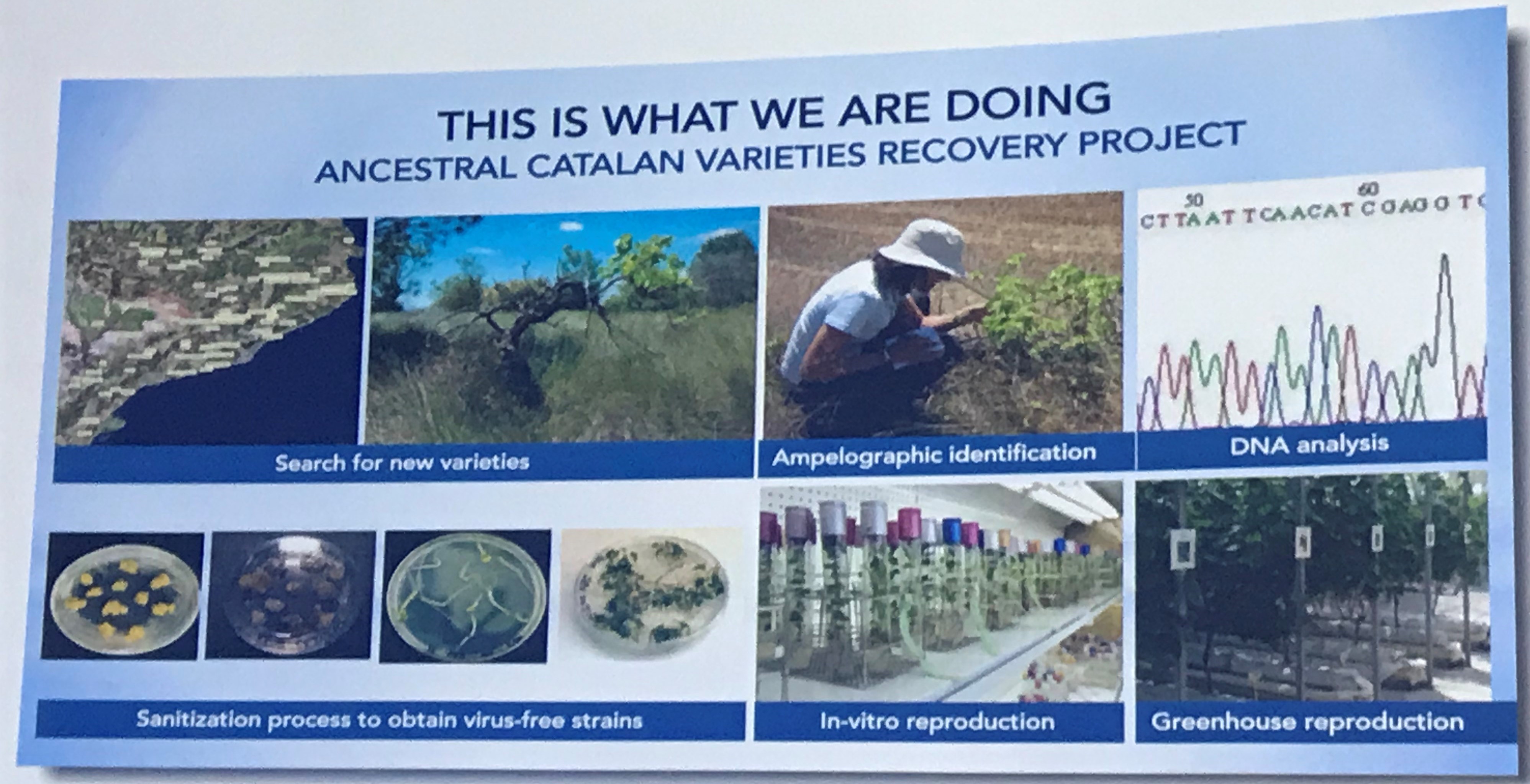 Photo Jun 28, 12 37 22 PM