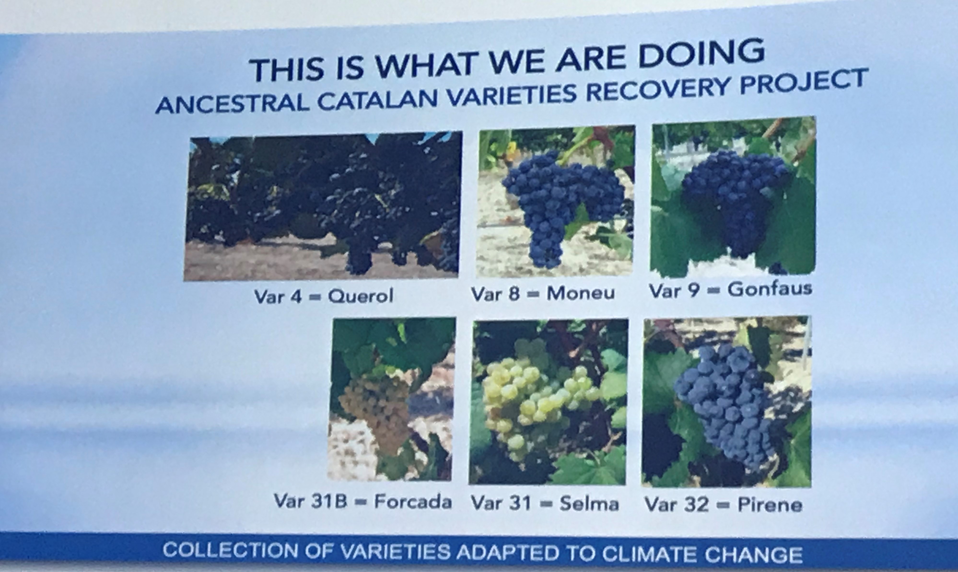 Photo Jun 28, 12 38 35 PM