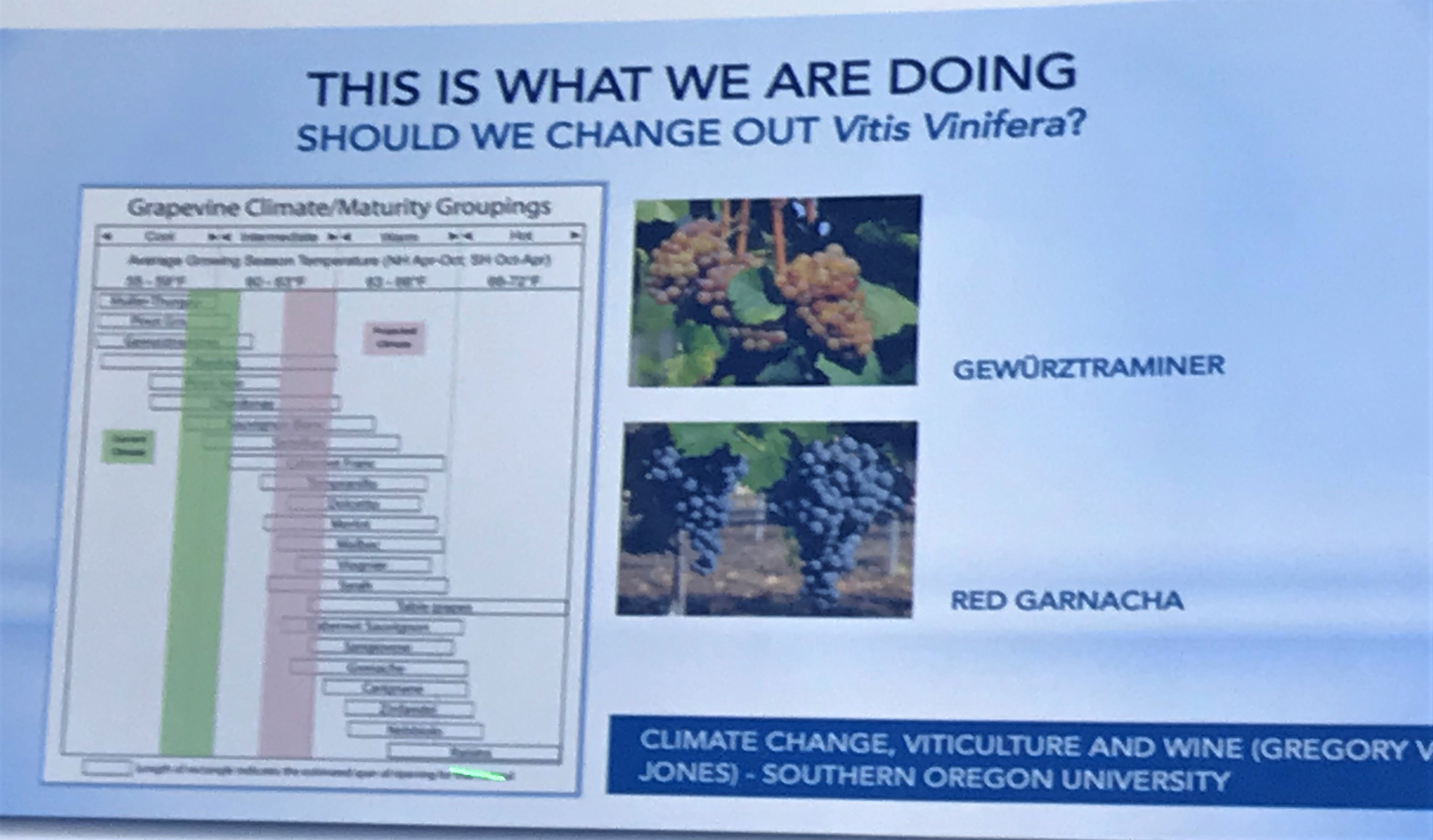 Photo Jun 28, 12 39 30 PM